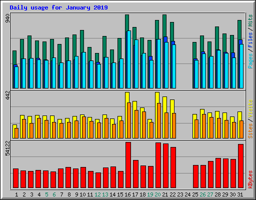 Daily usage for January 2019
