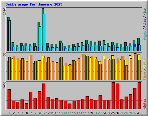 Daily usage for January 2023