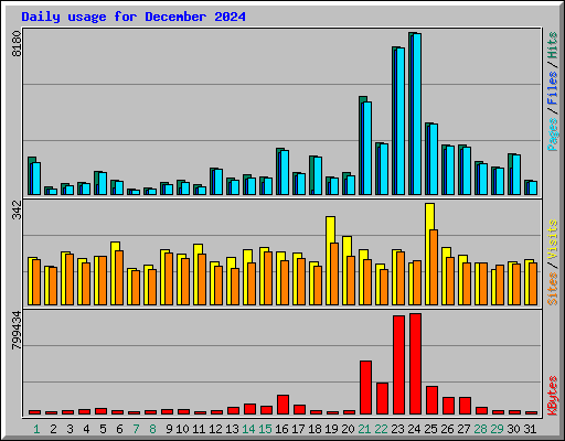 Daily usage for December 2024