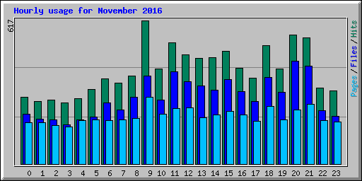 Hourly usage for November 2016