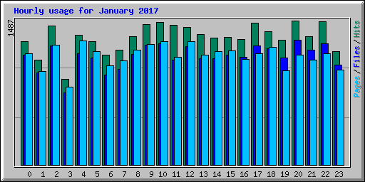 Hourly usage for January 2017