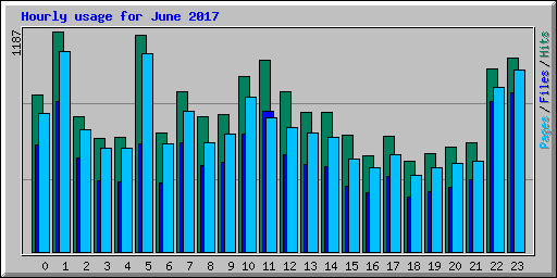 Hourly usage for June 2017