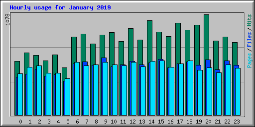 Hourly usage for January 2019