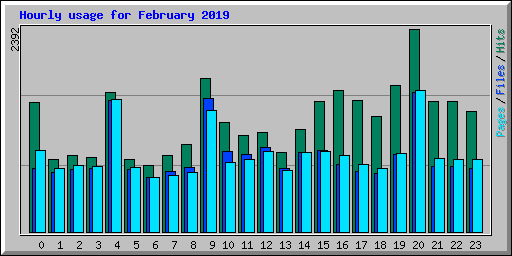 Hourly usage for February 2019