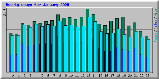 Hourly usage for January 2020