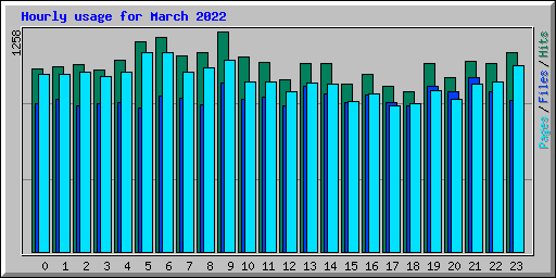Hourly usage for March 2022