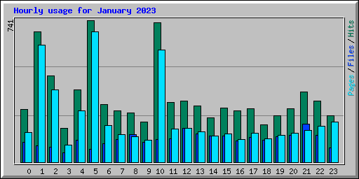 Hourly usage for January 2023