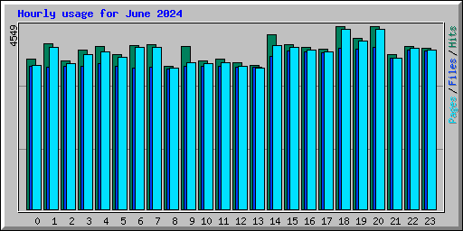 Hourly usage for June 2024