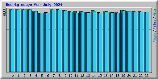 Hourly usage for July 2024
