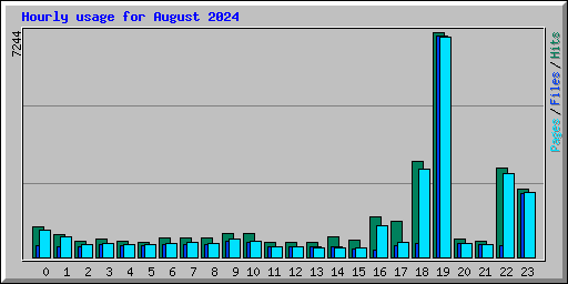 Hourly usage for August 2024