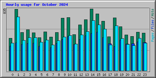 Hourly usage for October 2024