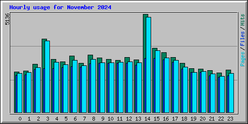 Hourly usage for November 2024