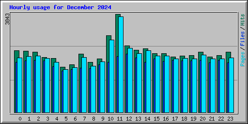 Hourly usage for December 2024