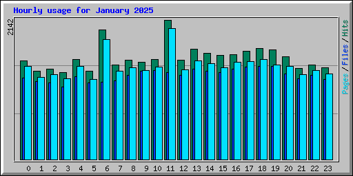 Hourly usage for January 2025