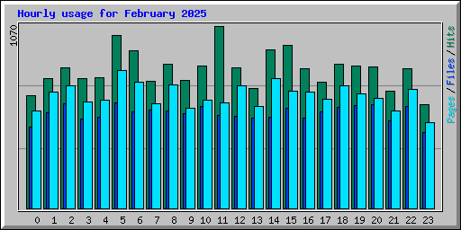 Hourly usage for February 2025