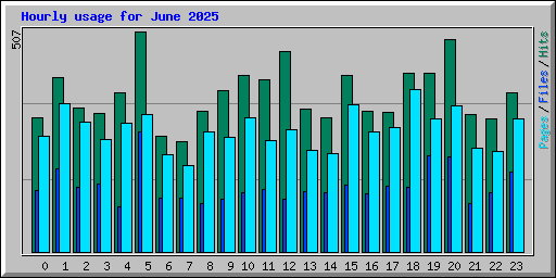 Hourly usage for June 2025