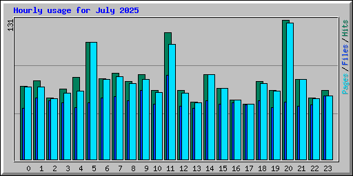 Hourly usage for July 2025