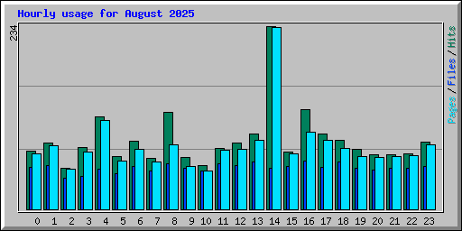 Hourly usage for August 2025