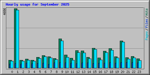 Hourly usage for September 2025