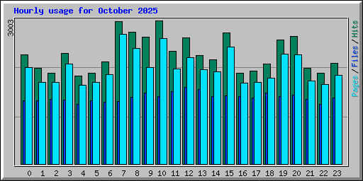 Hourly usage for October 2025