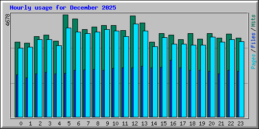 Hourly usage for December 2025