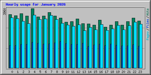 Hourly usage for January 2026