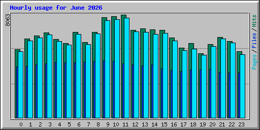 Hourly usage for June 2026