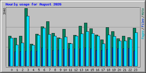 Hourly usage for August 2026